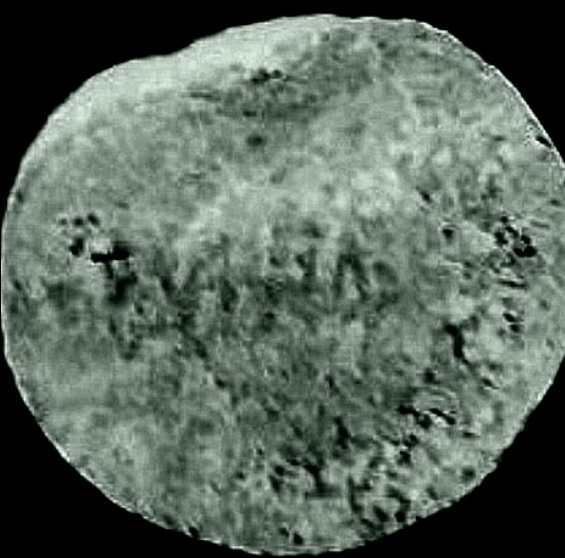 What-On-Earth-Have-I-Found?