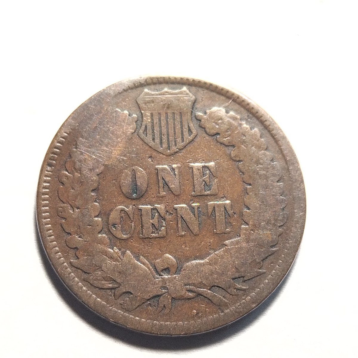 1888-Indian-Head-Penny-I-Think-Its-The-One-Guys