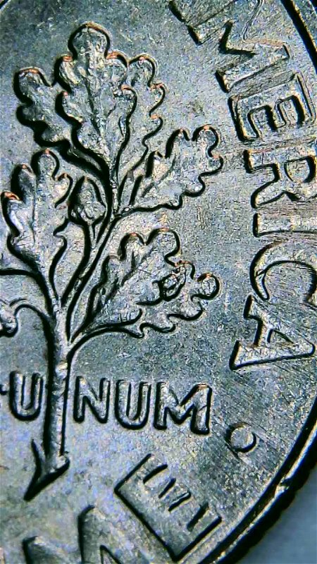 2016-Roosevelt-Dime-Die-Chip-Bug-On-A-Leaf