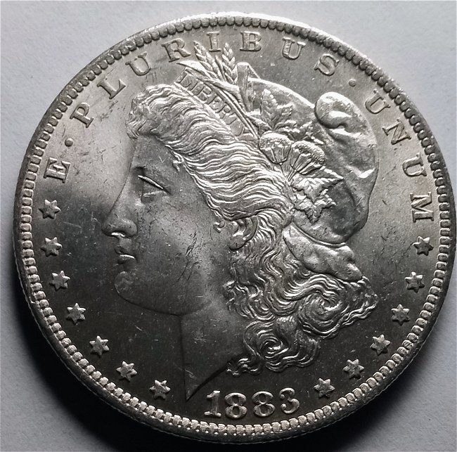 1883-Morgan-Dollar-Grade