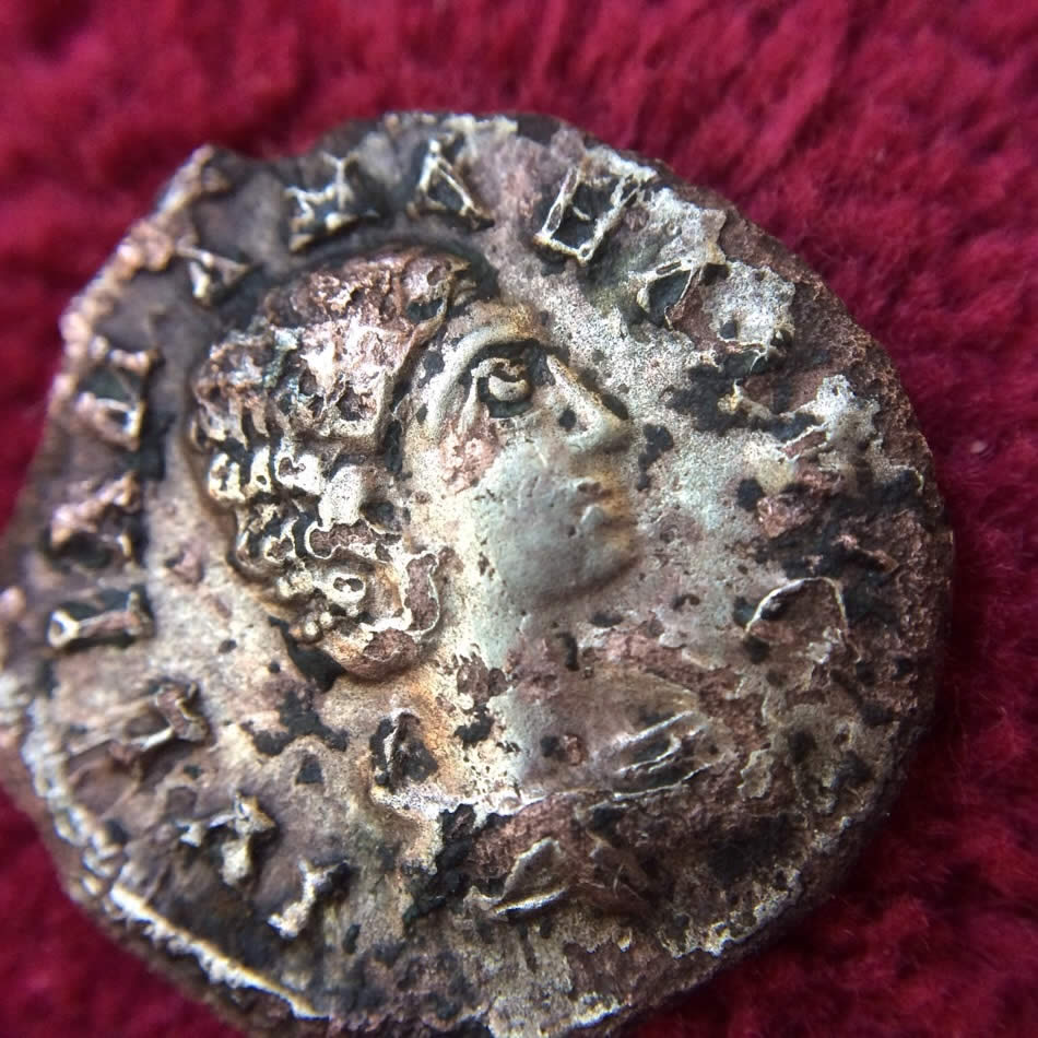 Which-Julia-Is-This-Silvery-One?