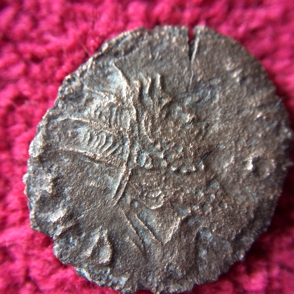 Emperor-With-A-Pearl-Necklace?