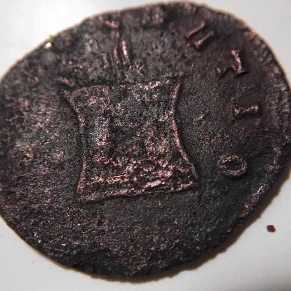 Need-Help-With-An-ID-For-This-Corroded-Emperor