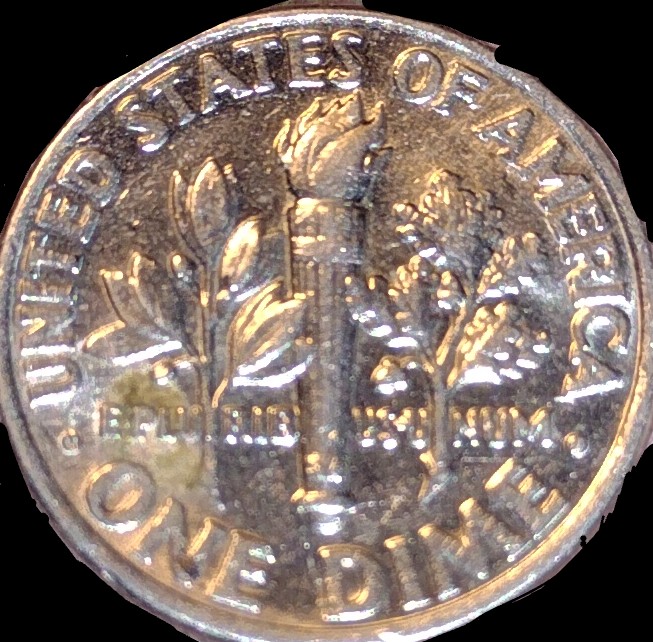 Lines-Of-Torch-Through-Leaf-1994-Dime