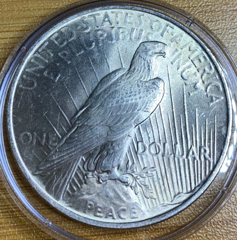 Help-Grading-My-Coins:-No-6:-1923---Peace-Dollar