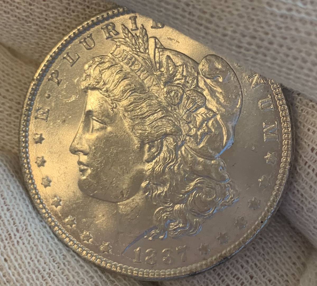Grade-My-1887-P-Morgan-Dollar!