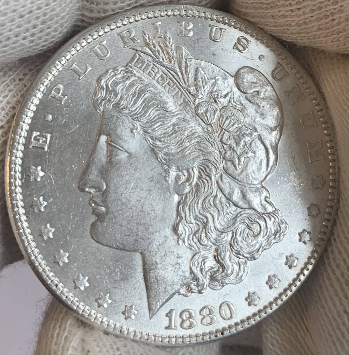 Grade-My-1880-P-Morgan-Dollar!