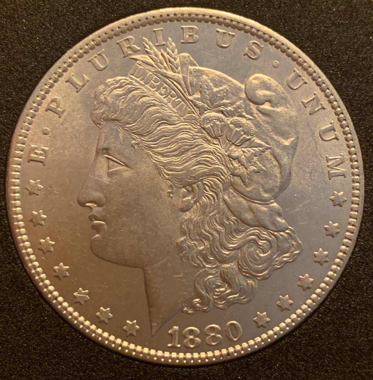 Grade-My-1880-P-Morgan-Dollar!