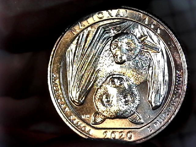 Important-Question-About-Uncirculated-Box-Of-Quarters.