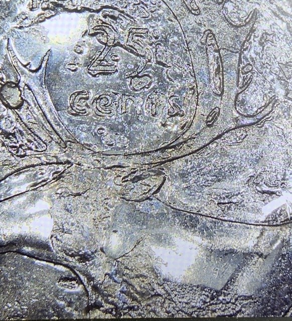 Need-Help-With-2010-Canadian-Quarter-Errors.