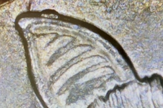 Can-Someone-Tell-Me-What's-Happening-With-This-Bat-Quarter-2020