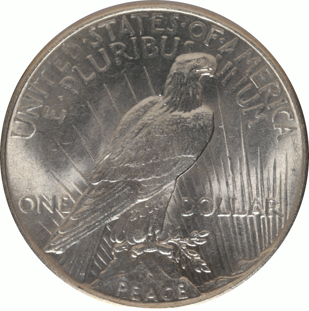 1925-Peace-Dollar---Grading-Opinion