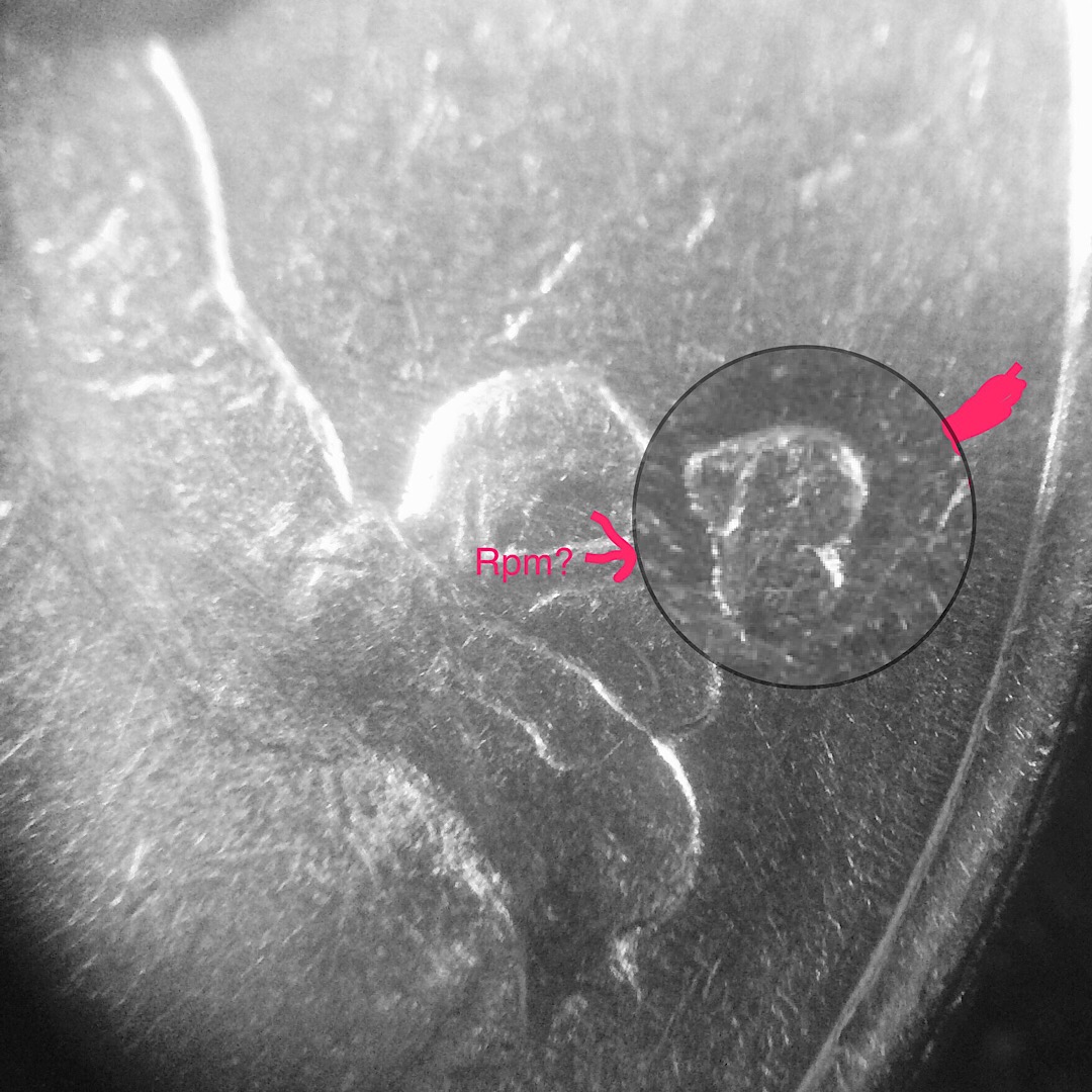 1981-Washington-Quarter-Unclear