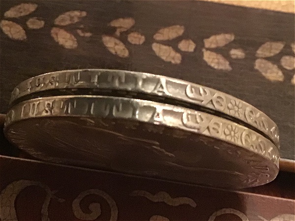 Modern-Proof-Maria-Theresa-Thaler?