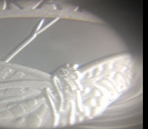2020-Silver-Prairie-Tallgrass-Quarter-Die-Chip?