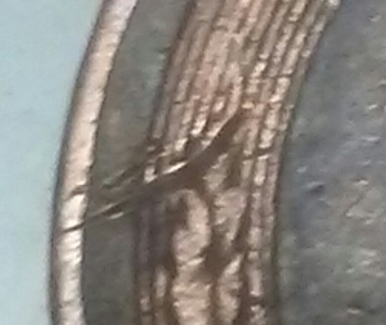 I-Have-A-1956-D-Lincoln-Error