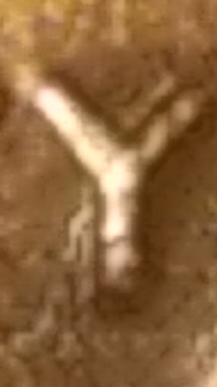 1969-S-With-New-Pictures-Also-2-Mint-Marks-One-Has-Been-Tried-To-Be-Removed