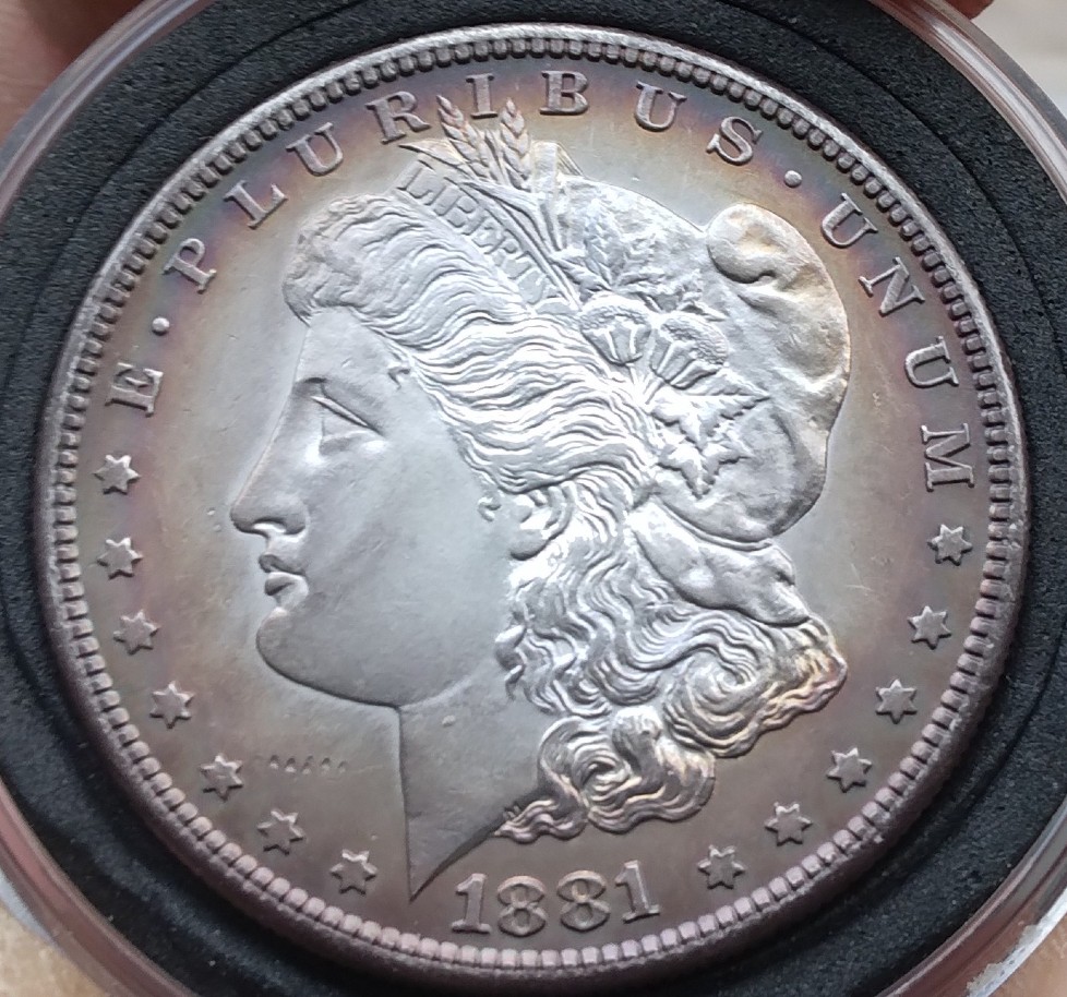 My-First-Morgan-Silver-Dollar-1881-S-Rainbow-Toned-Edges-What's-The-Grade?