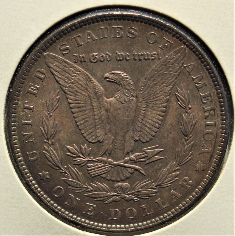 1884-Morgan-Dollar-For-Grade-And-Opinions