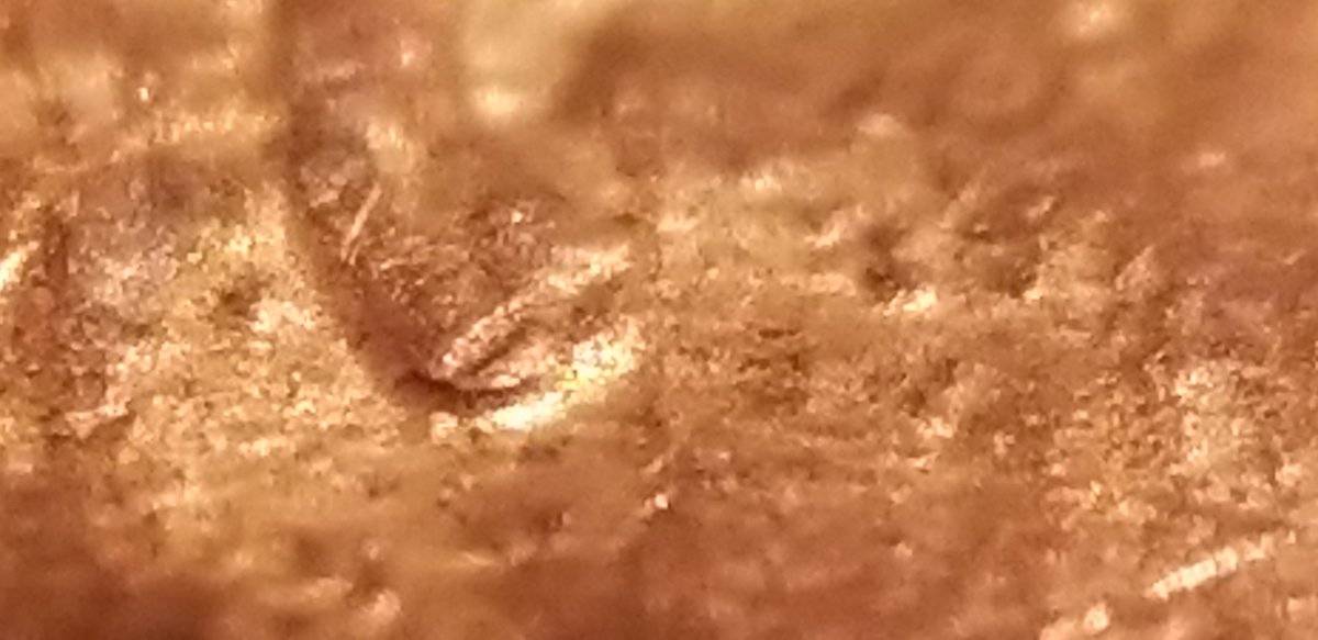 I-Need-Help-With-This-1988-D-Lincoln-1cent-Coin