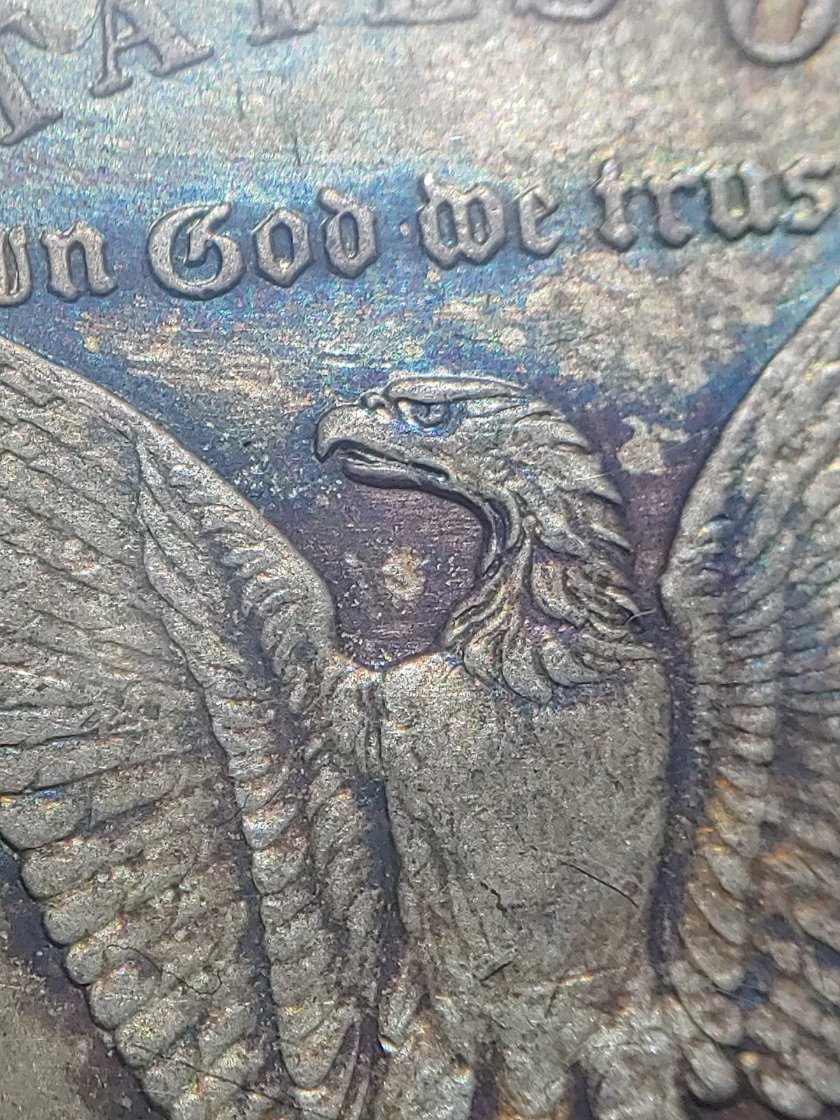 1896-S-Morgan-Error?