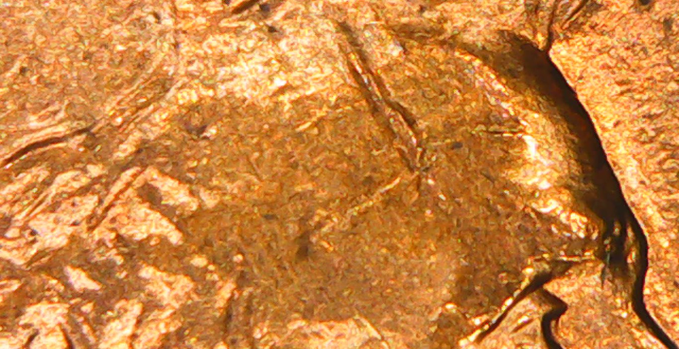 1994-D-Lincoln-Cracked-Skull?