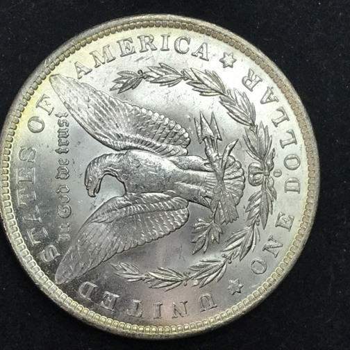 28-Days-Of-The-Morgan-Dollars-Part-5