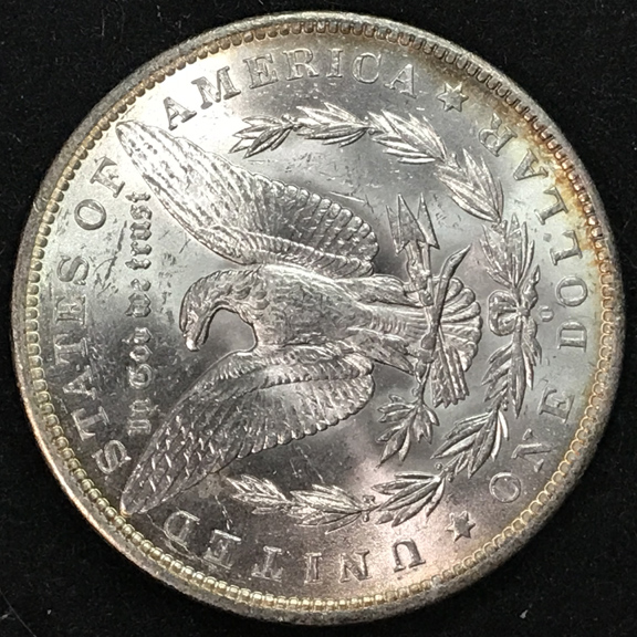 28-Days-Of-The-Morgan-Dollars-Part-5