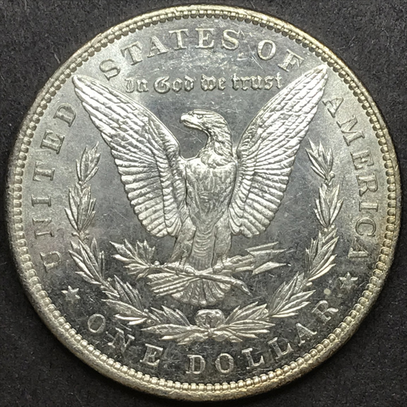 28-Days-Of-The-Morgan-Dollars-Part-5