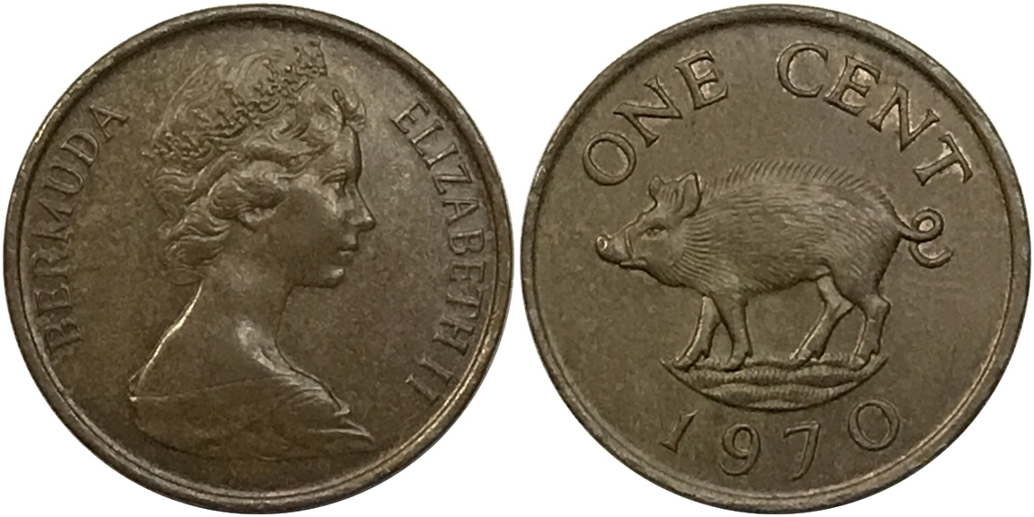 Post-Your-Coins-Representing-The-Animal-Kingdom.