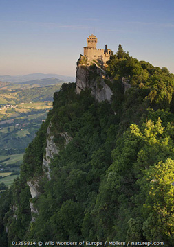 Post-Your-Coins-With-A-Castle