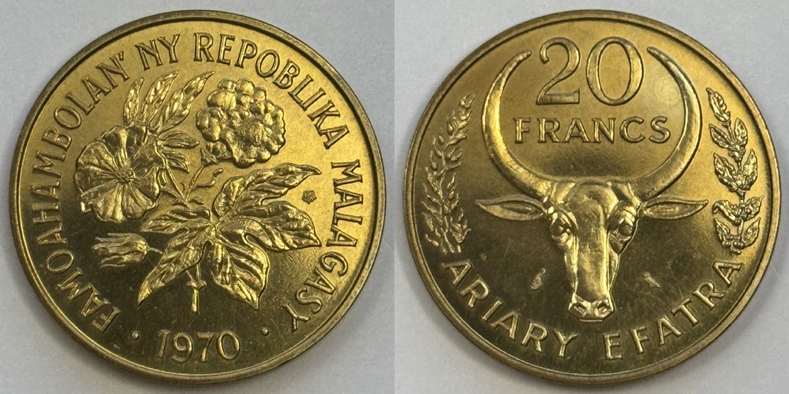 Bovine-Coins---Post-Yours