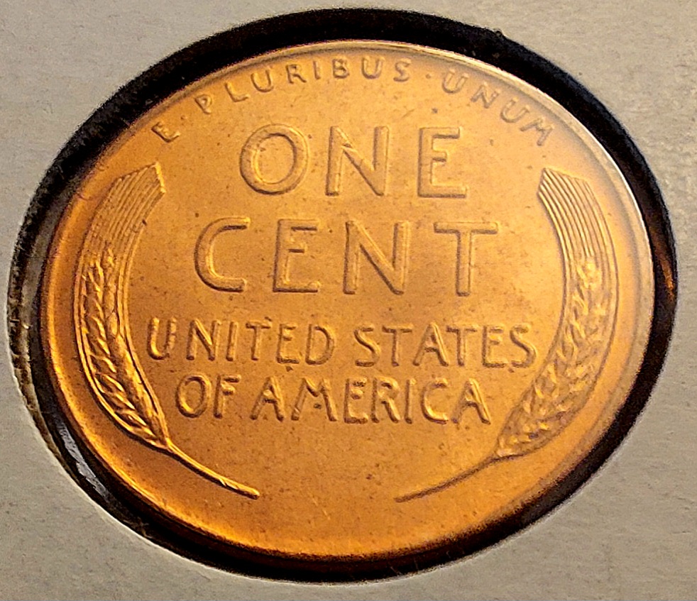 1956-Denver-Wheat-Cent