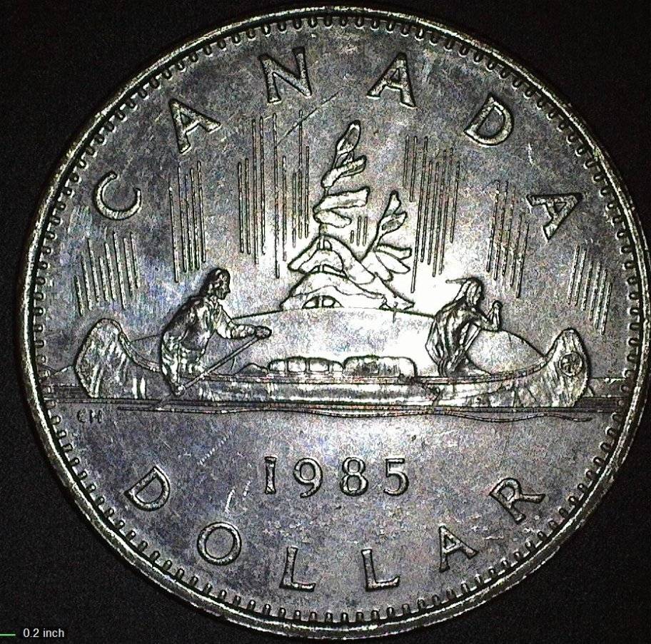 Different-Looking-Jewel-Between-1985-And-1986-Canadian-Dollar