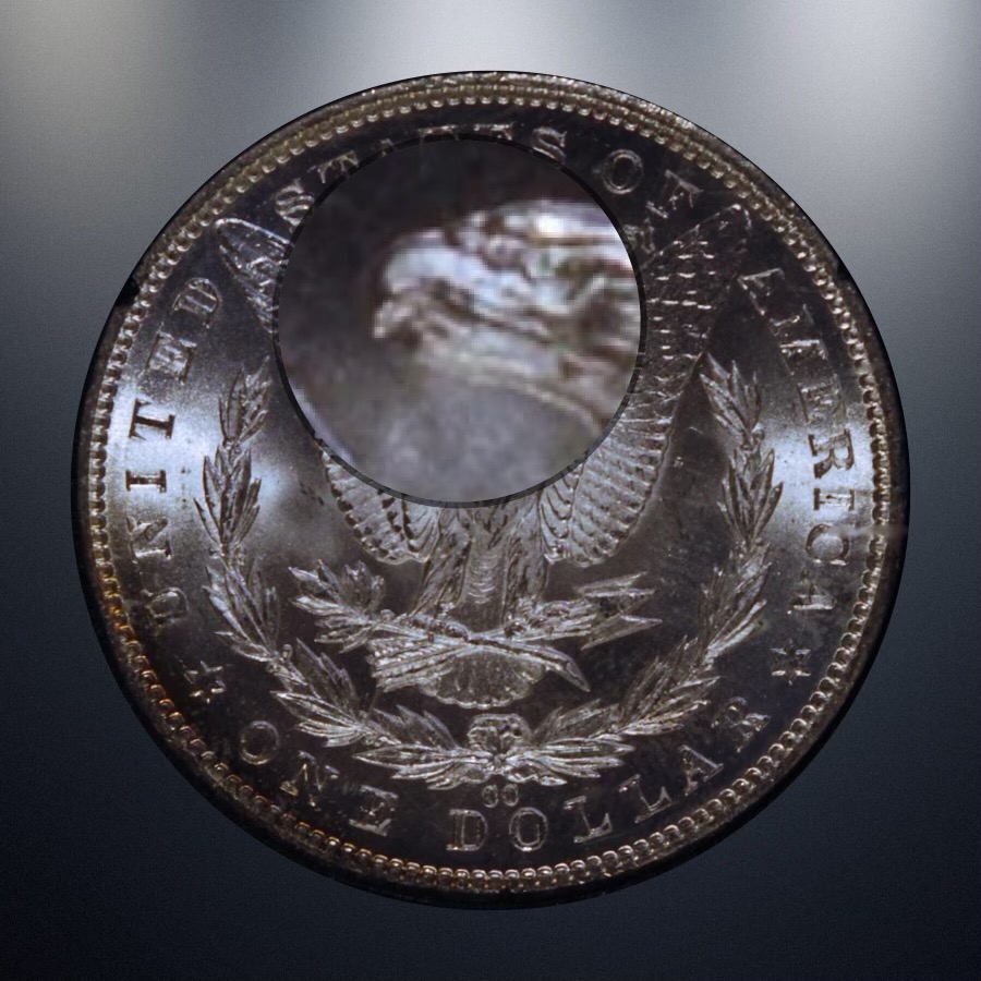 1884-Morgan-Dollar-CC-Major-Error-To-Ear-And-Spitting-Eagle-Bu/Unc