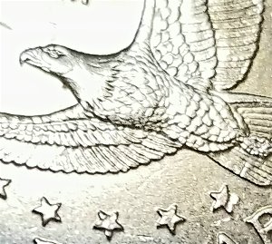 2000-P-Sacagawea-Dollar---Professional-Advice-Needed