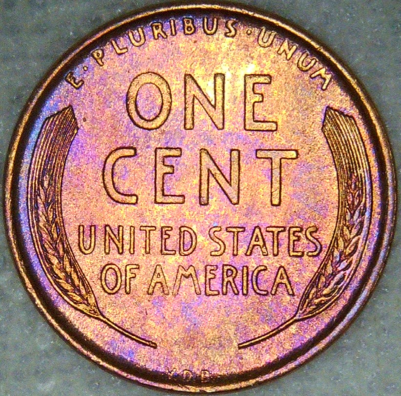 For-Grading---1909-VDB