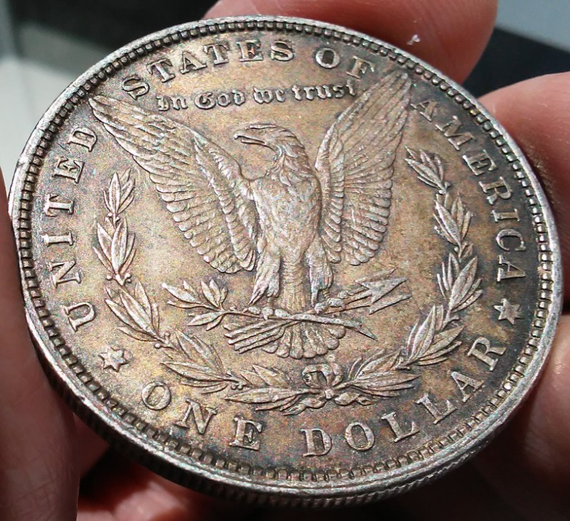 For-Grading---1880-Morgan-Silver-Dollar