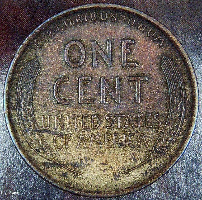 For-Grading---1909-VDB-Lincoln-Wheat-Cent