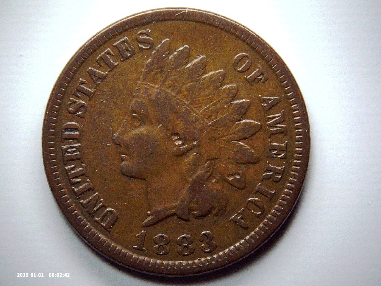 1883-Indian-Head-Cent-For-Grading