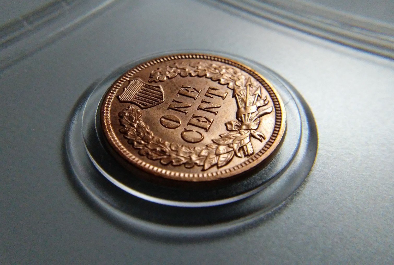 For-Grading---1908-Indian-Head-Cent