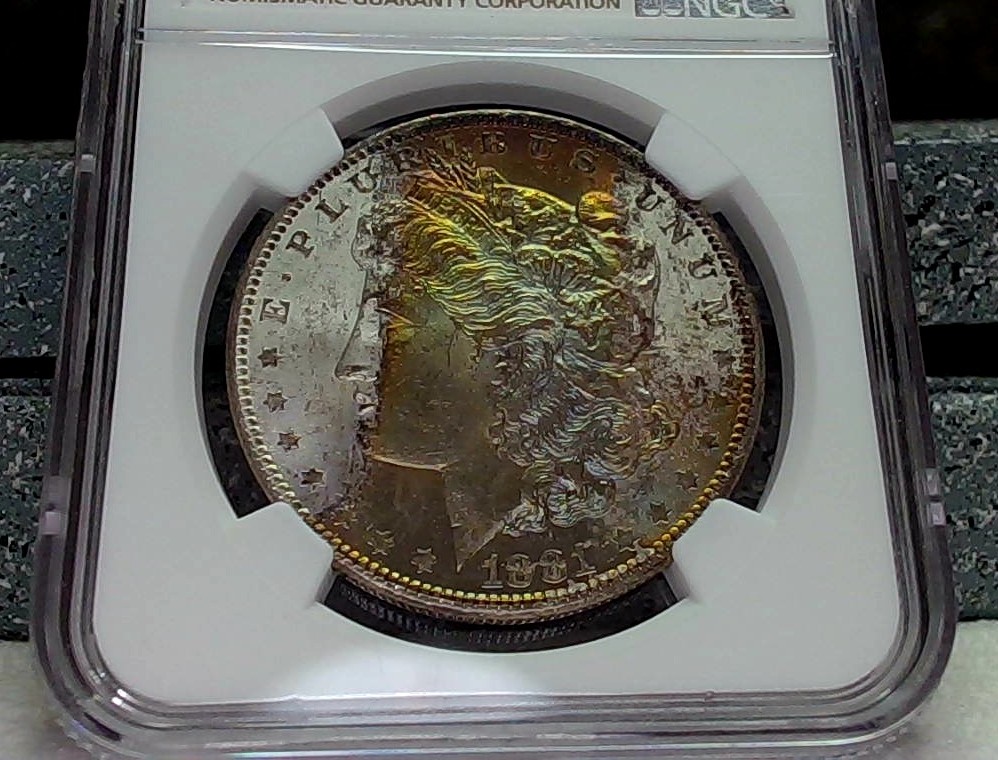 Continuing-List-To-Show-Everyones-Latest-Acquisitions