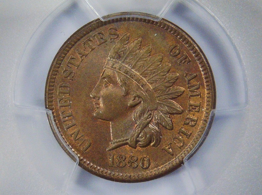 Continuing-List-To-Show-Everyones-Latest-Acquisitions
