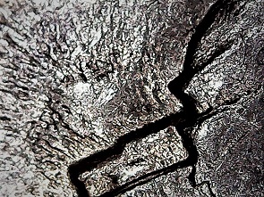 1982-P-Nickel-Sanded-Smooth?