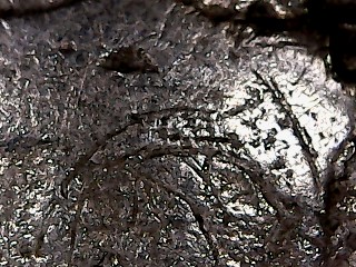 1963-D-Jefferson-Nickel-Wear-Or-RPM?