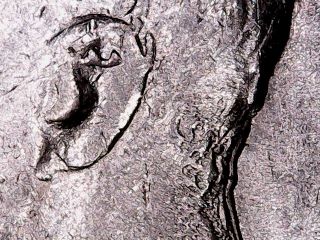 1972-D-Kennedy-Half/Looks-Like-Ghosting-But-Doesn't-Match
