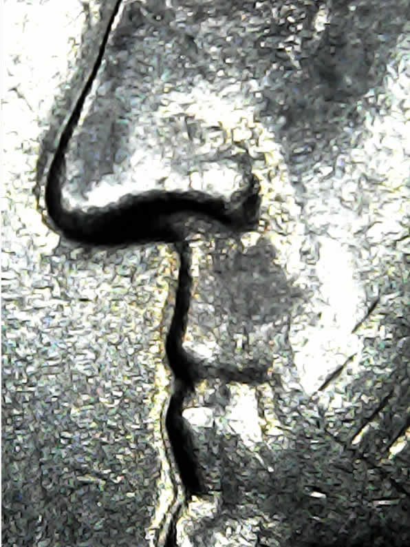 1965-Quarter-Dollar-Coin-Error-Of-Variety-DDO