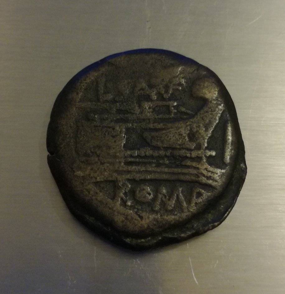 As-Janus-Query-About-Weight