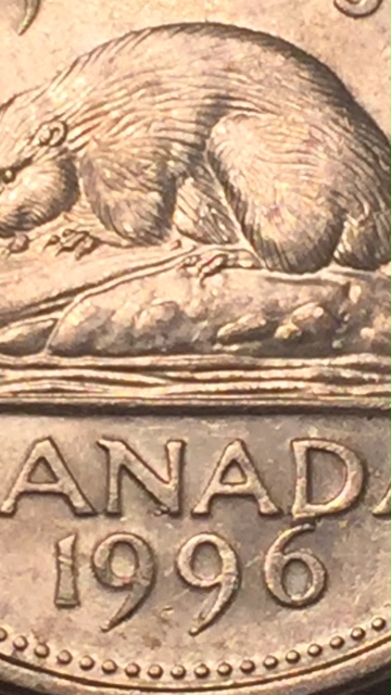 Got-Lucky,-Attached-6-Nickel