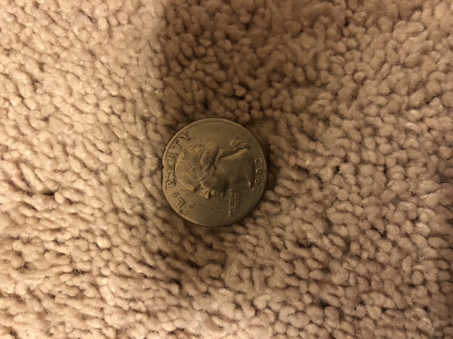 What-Happened-To-This-Quarter?